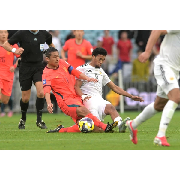 stats-333sports.com.cn APP